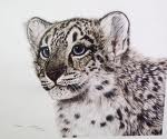 snow-leopard