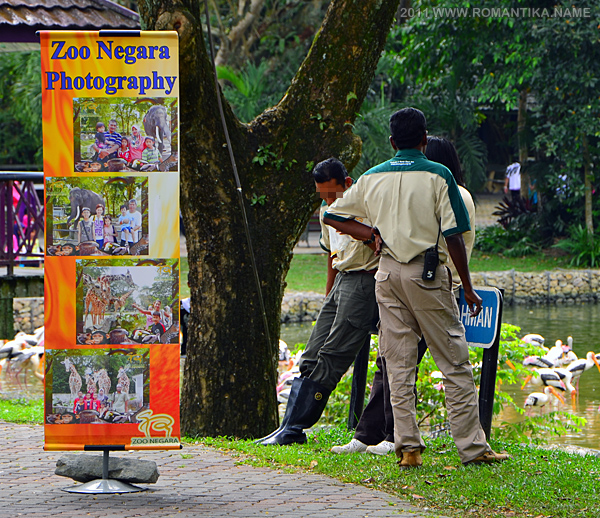 zoo-staff-lakeside